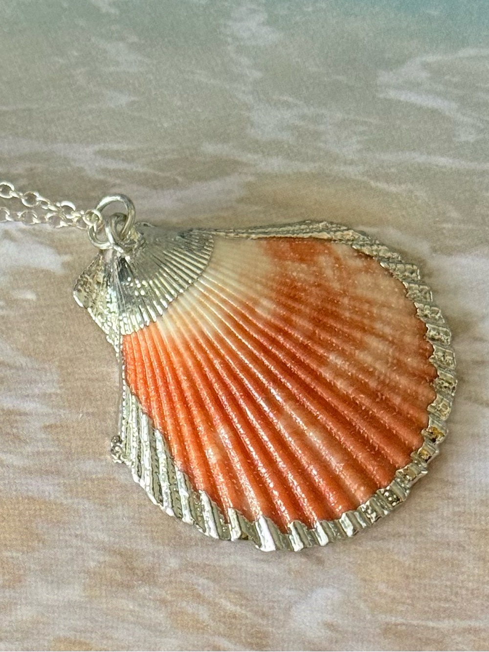 Coral Scallop Seashell Pendant Necklace with Silver Edges